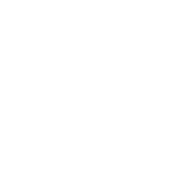 peaceinwar