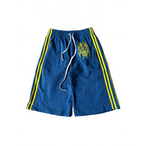 "2004" shorts (blue)